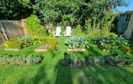 low-maintenance plants