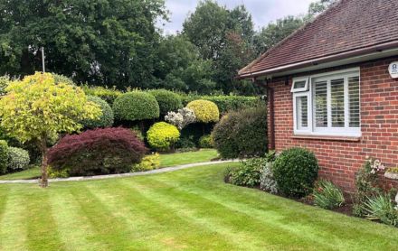 garden privacy