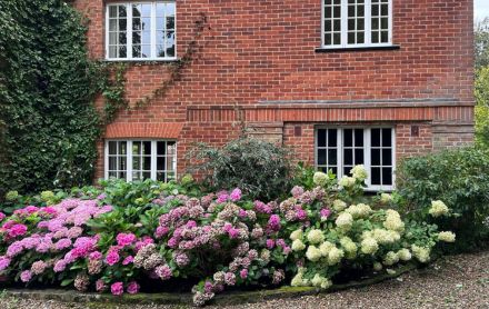 cottage garden
