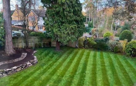 overlooked garden solutions