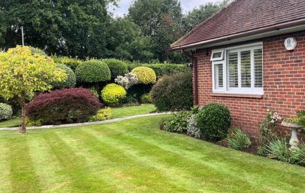 low-maintenance planting