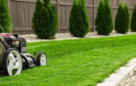 seasonal gardening tips