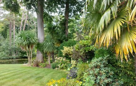 plants for sun and shade