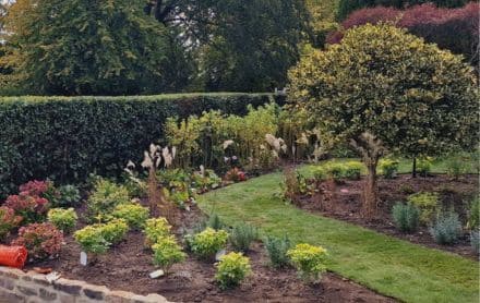 garden makeover costs