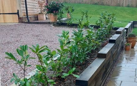 landscaping company Surrey