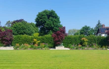 garden designer Farnham