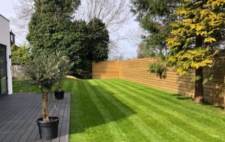 small garden design