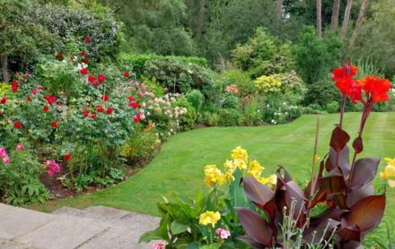 soft landscaping ideas