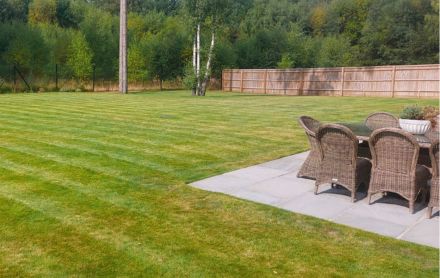 garden maintenance